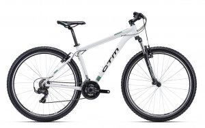 Bike CTM Rein 1.0 MTB 29