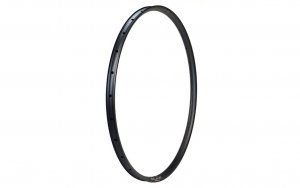 Rim 29