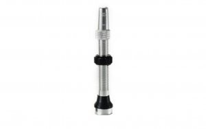 Tubeless valve Duke