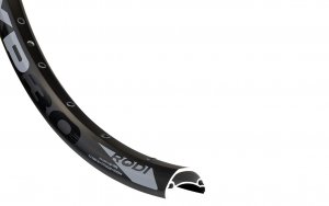 Rim 29